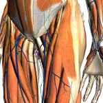hip fracture patterns