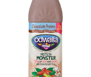 odwalla chocolate protein monster